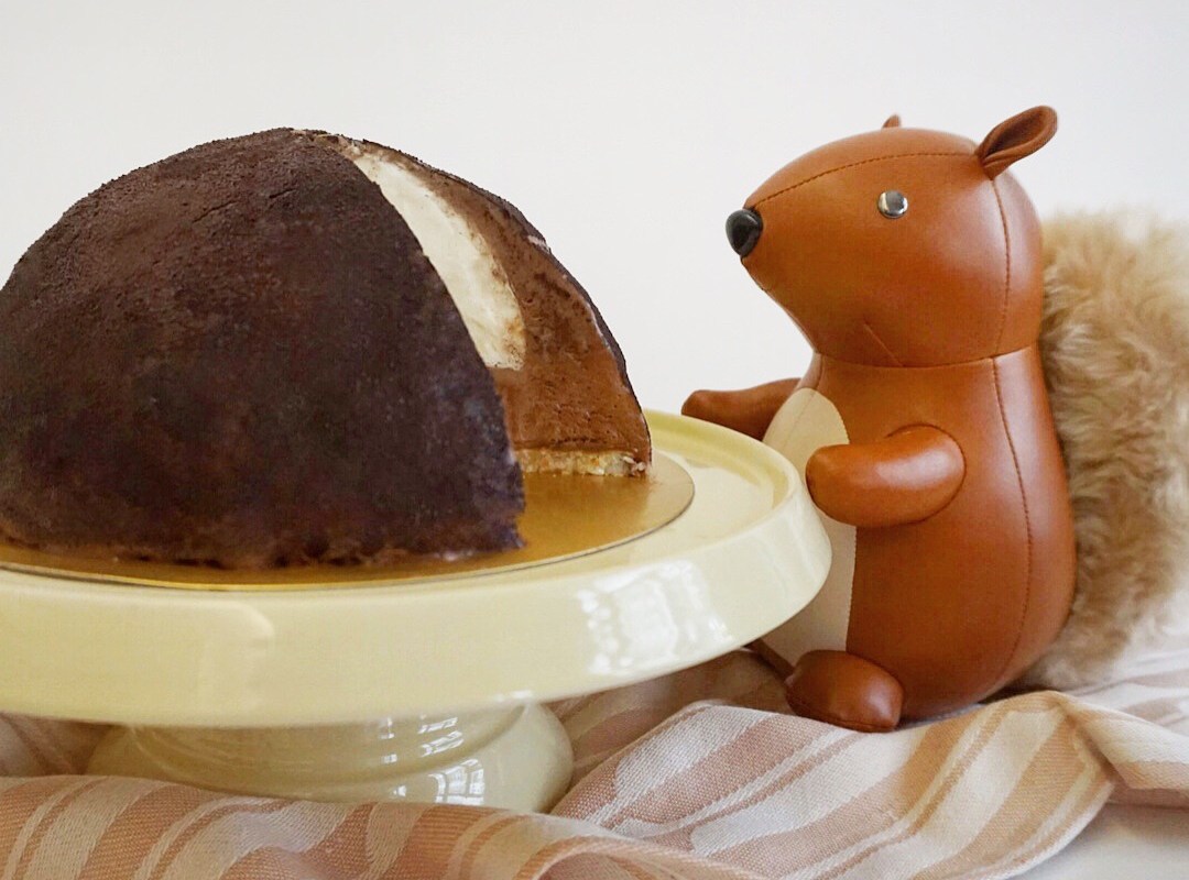 Nutting to see here - loving my squirrel bookend