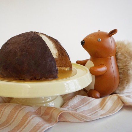 Lime coconut mousse cake